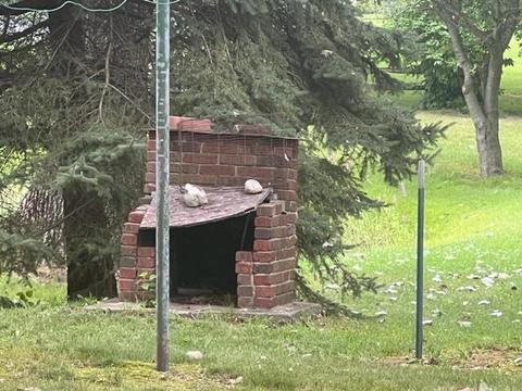 400 Richard St, Spring Arbor, MI 49283 photo 28