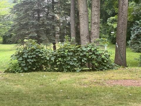 400 Richard St, Spring Arbor, MI 49283 photo 25