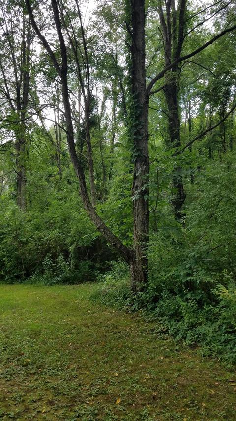 434 M-89 Hwy, Plainwell, MI 49080 photo 37