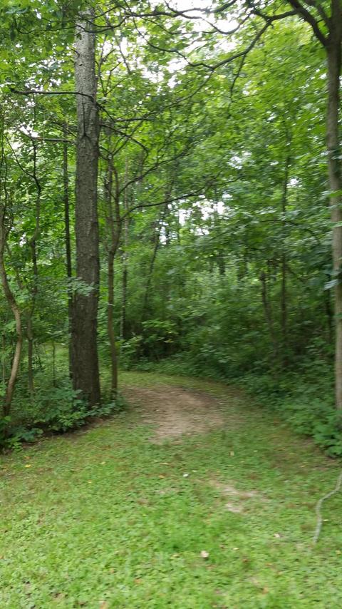 434 M-89 Hwy, Plainwell, MI 49080 photo 31