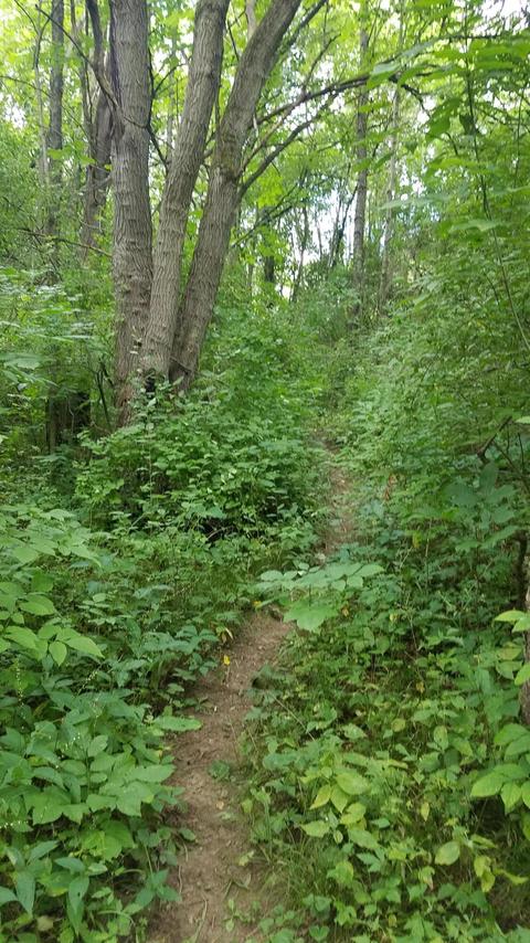 434 M-89 Hwy, Plainwell, MI 49080 photo 33