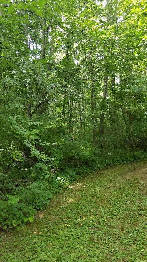 434 M-89 Hwy, Plainwell, MI 49080 photo 42