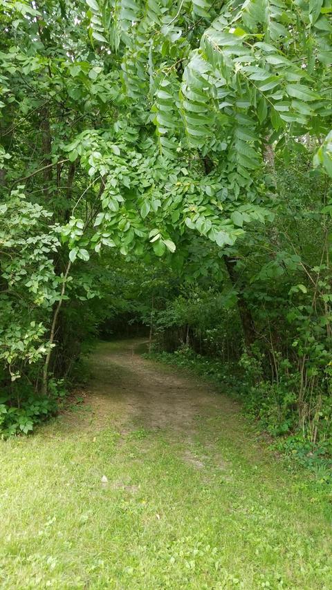 434 M-89 Hwy, Plainwell, MI 49080 photo 5
