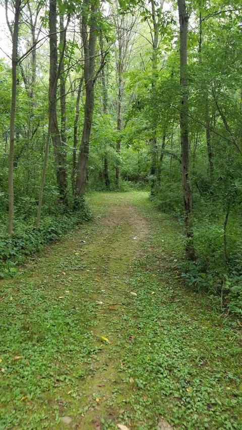 434 M-89 Hwy, Plainwell, MI 49080 photo 7