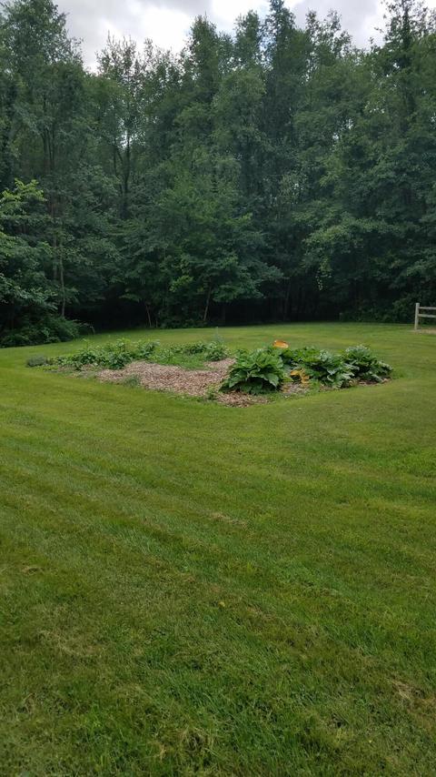 434 M-89 Hwy, Plainwell, MI 49080 photo 8