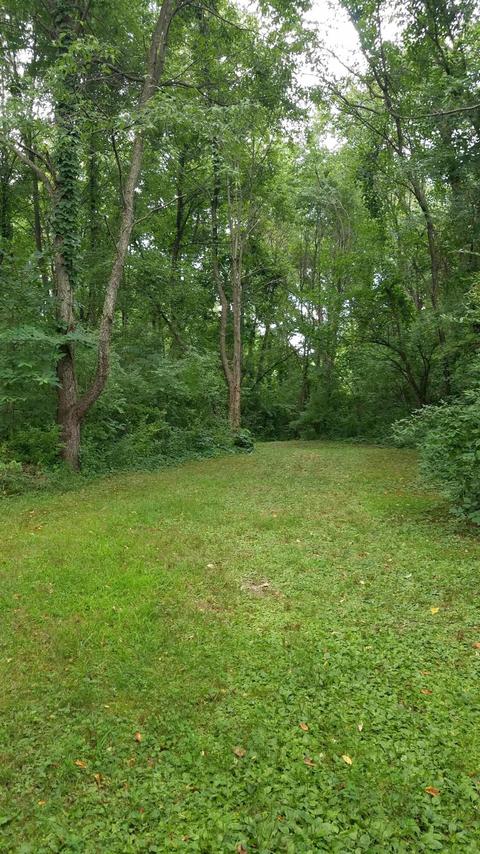 434 M-89 Hwy, Plainwell, MI 49080 photo 35