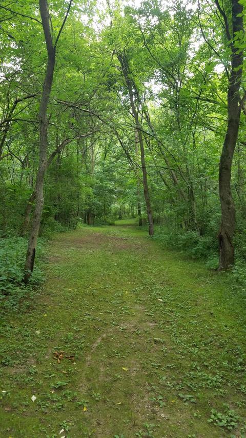 434 M-89 Hwy, Plainwell, MI 49080 photo 6