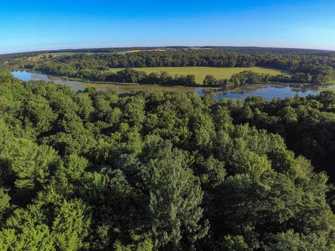 10246 Heether Rd, Belding, MI 48809 photo 37