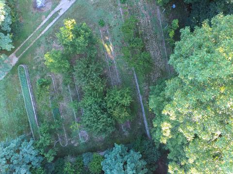 10246 Heether Rd, Belding, MI 48809 photo 33