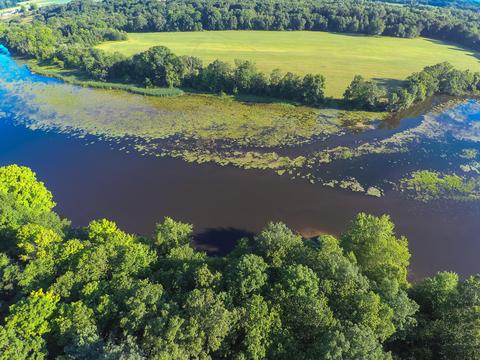 10246 Heether Rd, Belding, MI 48809 photo 40