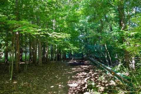 10246 Heether Rd, Belding, MI 48809 photo 27