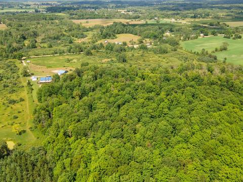 3481 5 Mile Rd, Sears, MI 49679 photo 41
