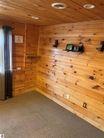 10520 E M 42, Manton, MI 49663 photo 62