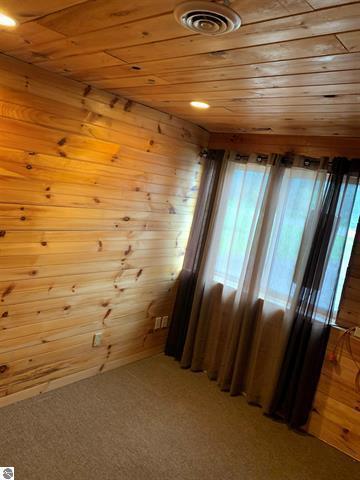 10520 E M 42, Manton, MI 49663 photo 65