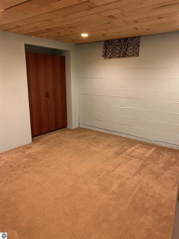 10520 E M 42, Manton, MI 49663 photo 50