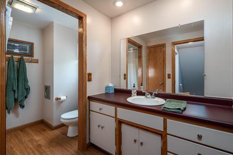 421 Iris Ave, Lansing, MI 48917 photo 14