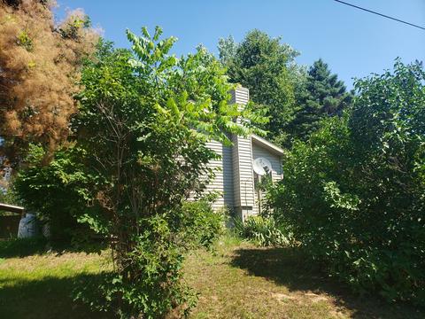329 S Madison Ave, Custer, MI 49405 photo 18