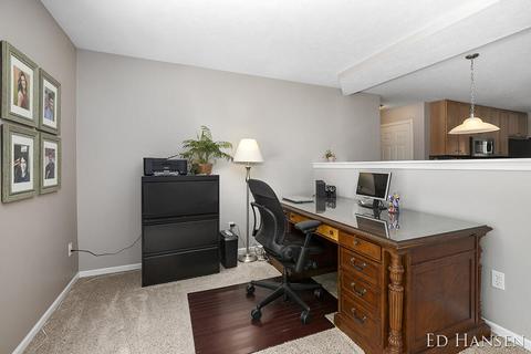 48 Chloe Ct, Lowell, MI 49331 photo 31