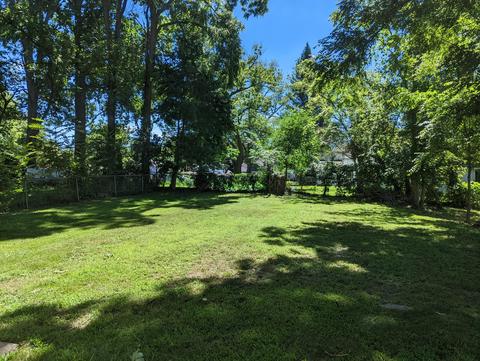 125 E Addison St, Jackson, MI 49203 photo 3