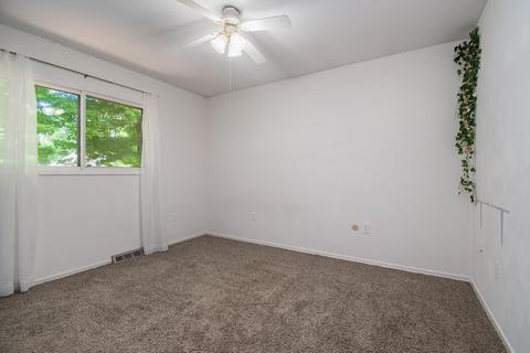 500 Green St, Constantine, MI 49042 photo 18