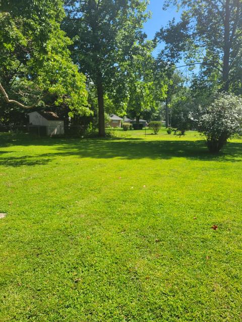 45 Maple Ln, Coldwater, MI 49036 photo 10