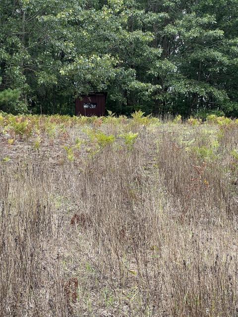 1467 S 200th Ave, Hesperia, MI 49421 photo 20