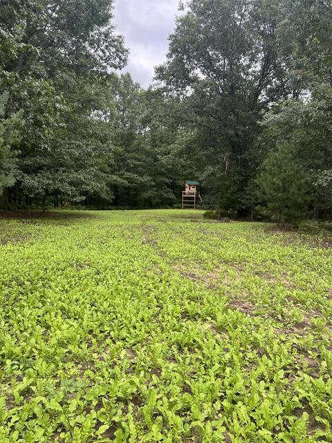 1467 S 200th Ave, Hesperia, MI 49421 photo 19