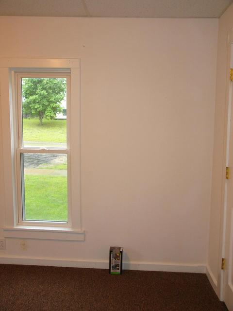 311 Leonard St, Belding, MI 48809 photo 16
