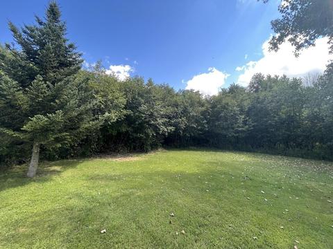2103 Mcbrides Rd NW, Stanton, MI 48888 photo 6