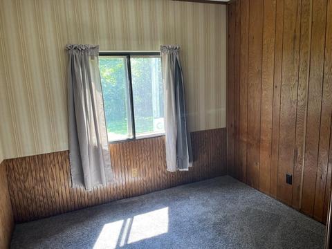 2103 Mcbrides Rd NW, Stanton, MI 48888 photo 16