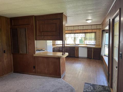 2103 Mcbrides Rd NW, Stanton, MI 48888 photo 13