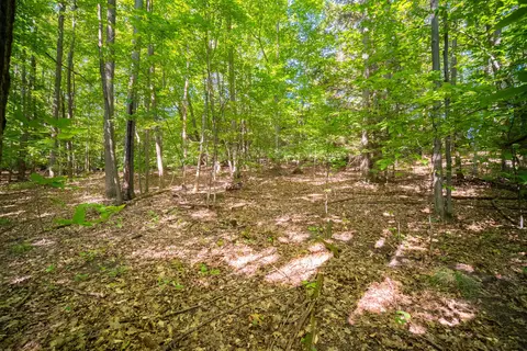 Emerald Ridge, Onekama, MI 49675 photo 18