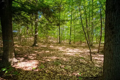 Emerald Ridge, Onekama, MI 49675 photo 11