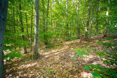 Emerald Ridge, Onekama, MI 49675 photo 20