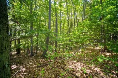 Emerald Ridge, Onekama, MI 49675 photo 21