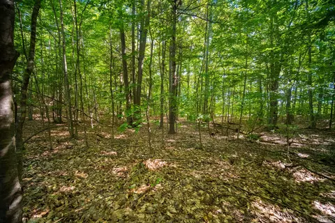Emerald Ridge, Onekama, MI 49675 photo 9