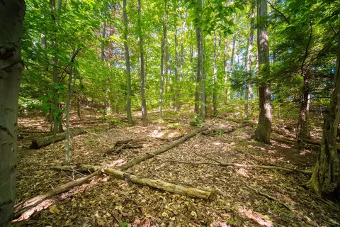 Emerald Ridge, Onekama, MI 49675 photo 19
