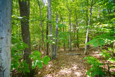 Emerald Ridge, Onekama, MI 49675 photo 2