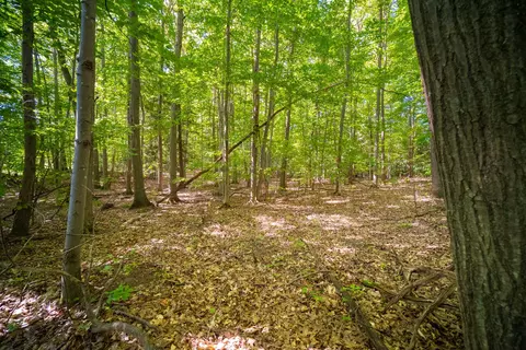 Emerald Ridge, Onekama, MI 49675 photo 17