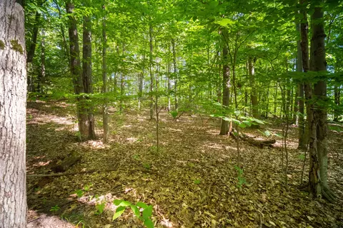 Emerald Ridge, Onekama, MI 49675 photo 14