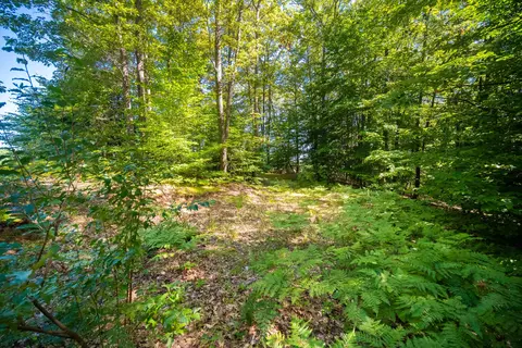Emerald Ridge, Onekama, MI 49675 photo 5