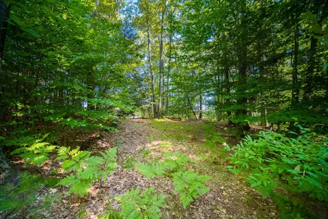 Emerald Ridge, Onekama, MI 49675 photo 8