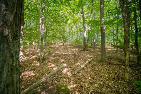Emerald Ridge, Onekama, MI 49675 photo 4