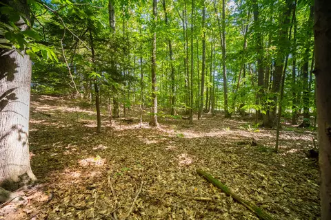 Emerald Ridge, Onekama, MI 49675 photo 13