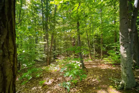 Emerald Ridge, Onekama, MI 49675 photo 7