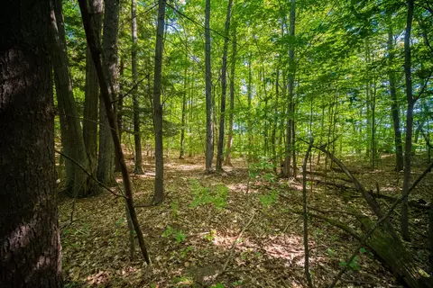 Emerald Ridge, Onekama, MI 49675 photo 10