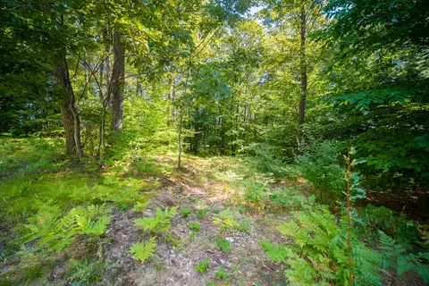 Emerald Ridge, Onekama, MI 49675 photo 22