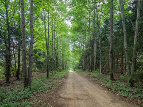 8651 22nd St, Mattawan, MI 49071 photo 44