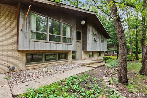 7379 Sheffield Dr SE, Ada, MI 49301 photo 4