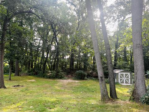 9201 Alidor Rd, Schoolcraft, MI 49087 photo 29